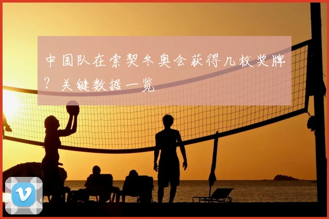 中国队在索契冬奥会获得几枚奖牌？关键数据一览